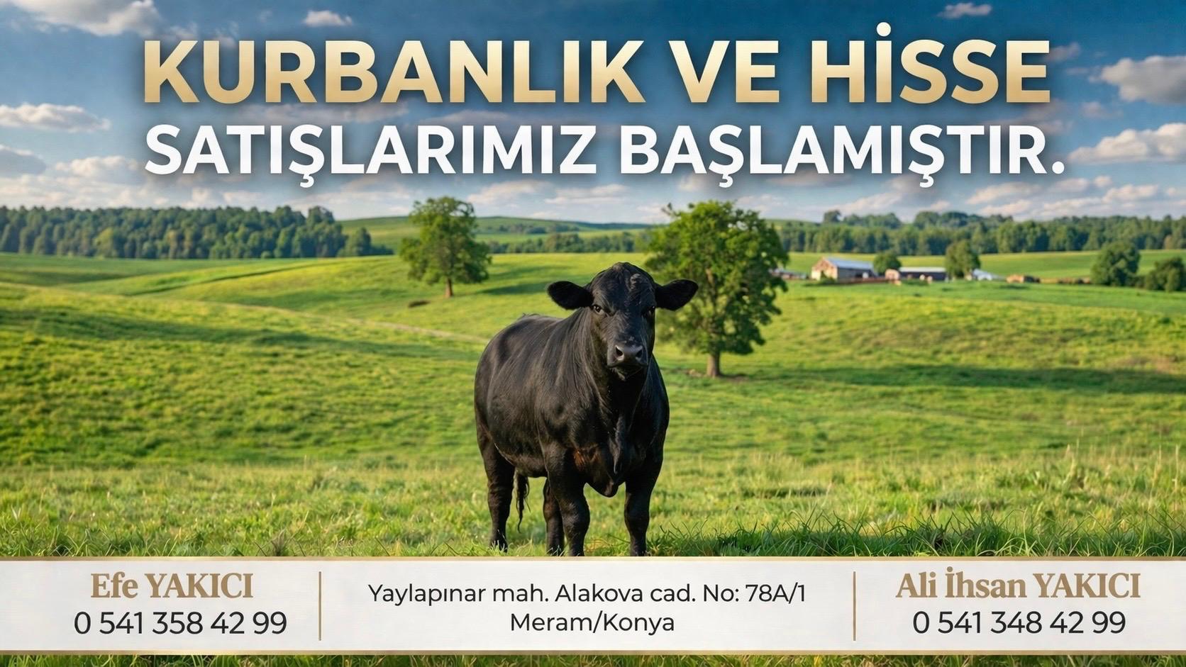 Efe Besi Çiftliği Afiş